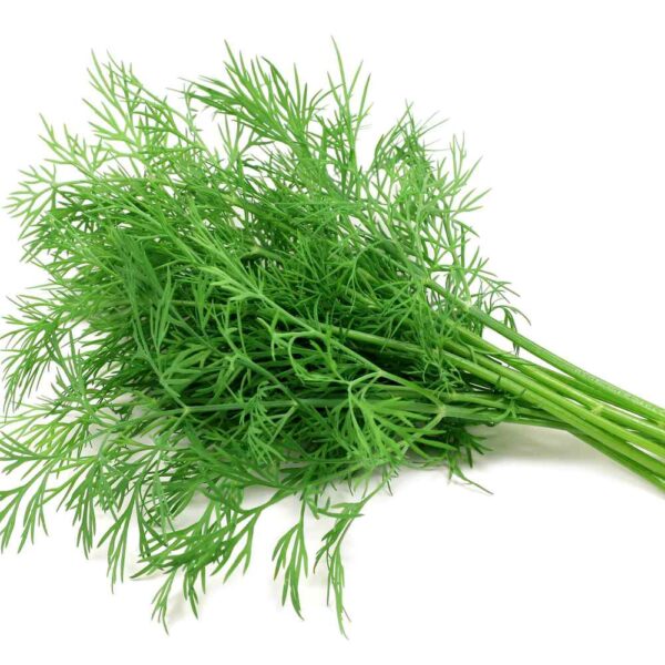 Dill